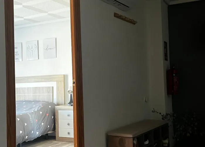 Casa Sempere 民宿 埃尔切